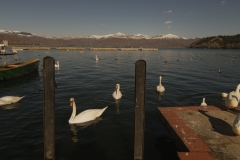 Kastoria lake, winter. North Greece.