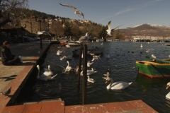 Kastoria lake, winter. North Greece.