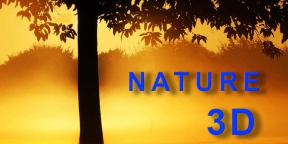 Nature 3D