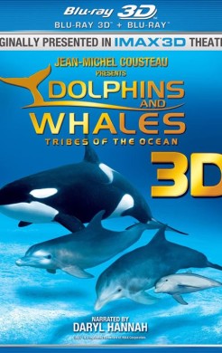 Dolphins and Whales 3D
